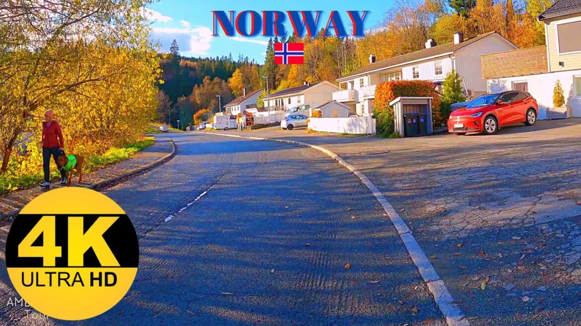 【4K】Autumn Walking Tour / Taking A Walk In NORWAY - Trondheim (Flatåsen - Granåsen) Gå Turer I Norge