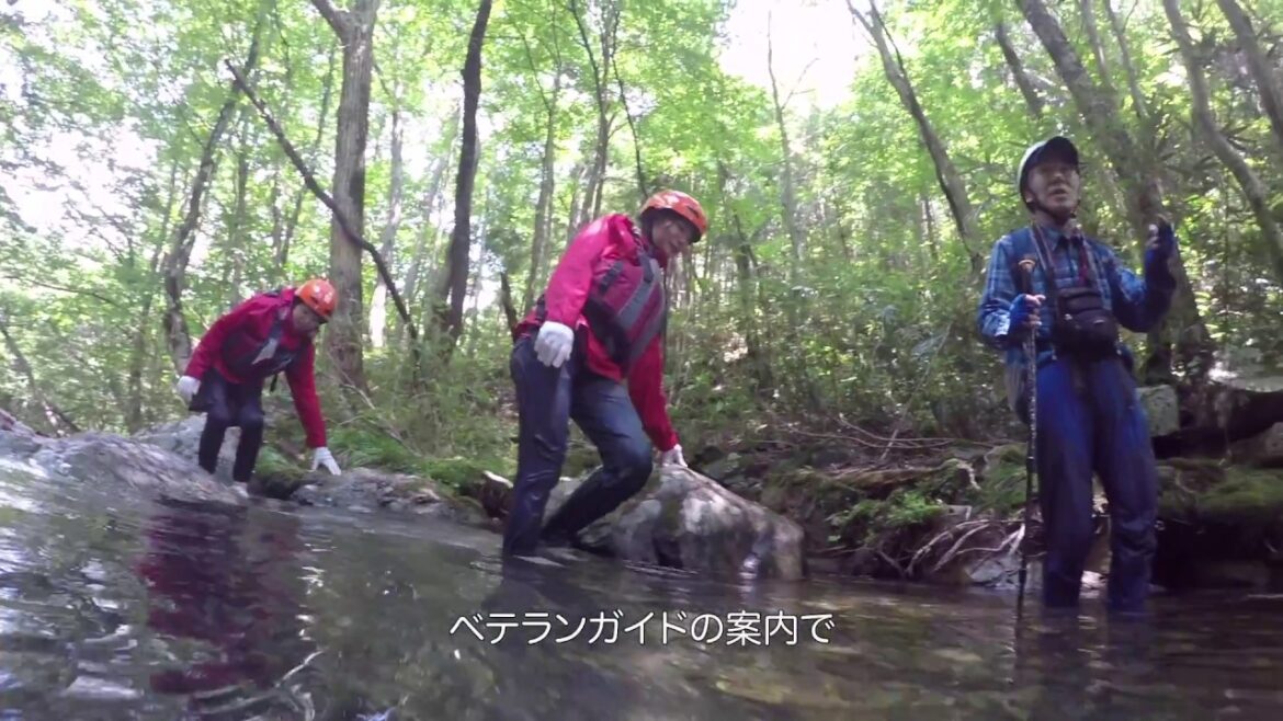 スリルと冒険！感動と驚きの山乗渓谷リバートレッキング（真庭市）【岡山観光WEB】