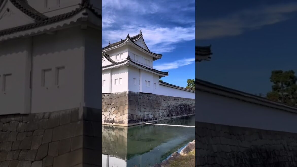 Japan Trip Day  8 - More Kyoto