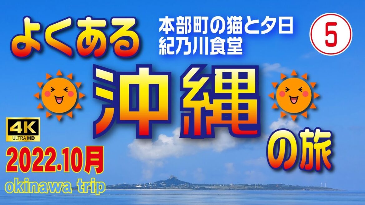 sub) 4K【沖縄旅行】⑤本部町の猫と夕日と紀乃川食堂（2日目/後編）😎レンタカーで巡る3泊4日の旅🚗【沖縄観光】　#5