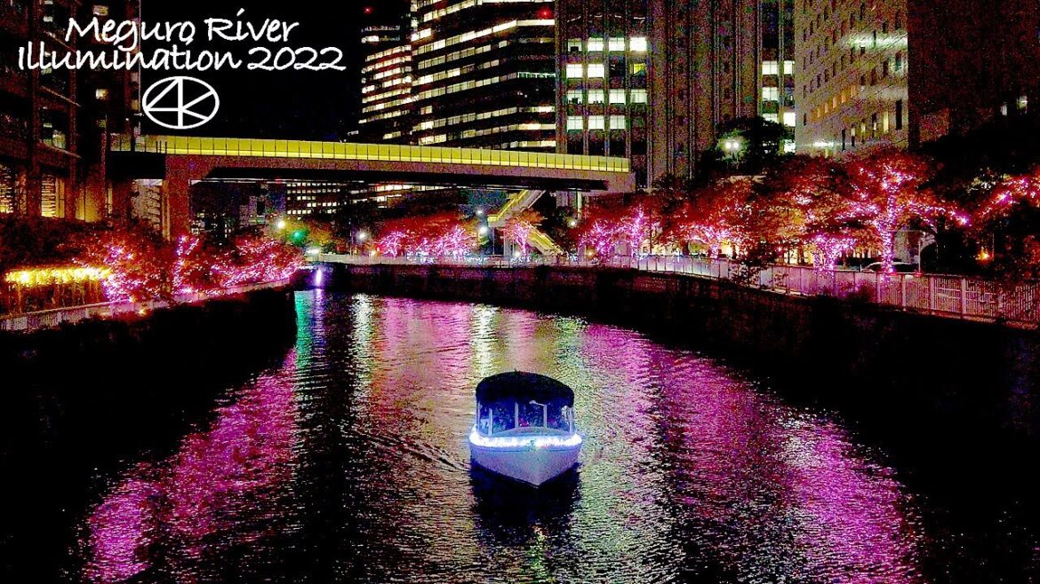 4K 目黒川みんなのイルミネーション2022 五反田 大崎 東京 Japan
