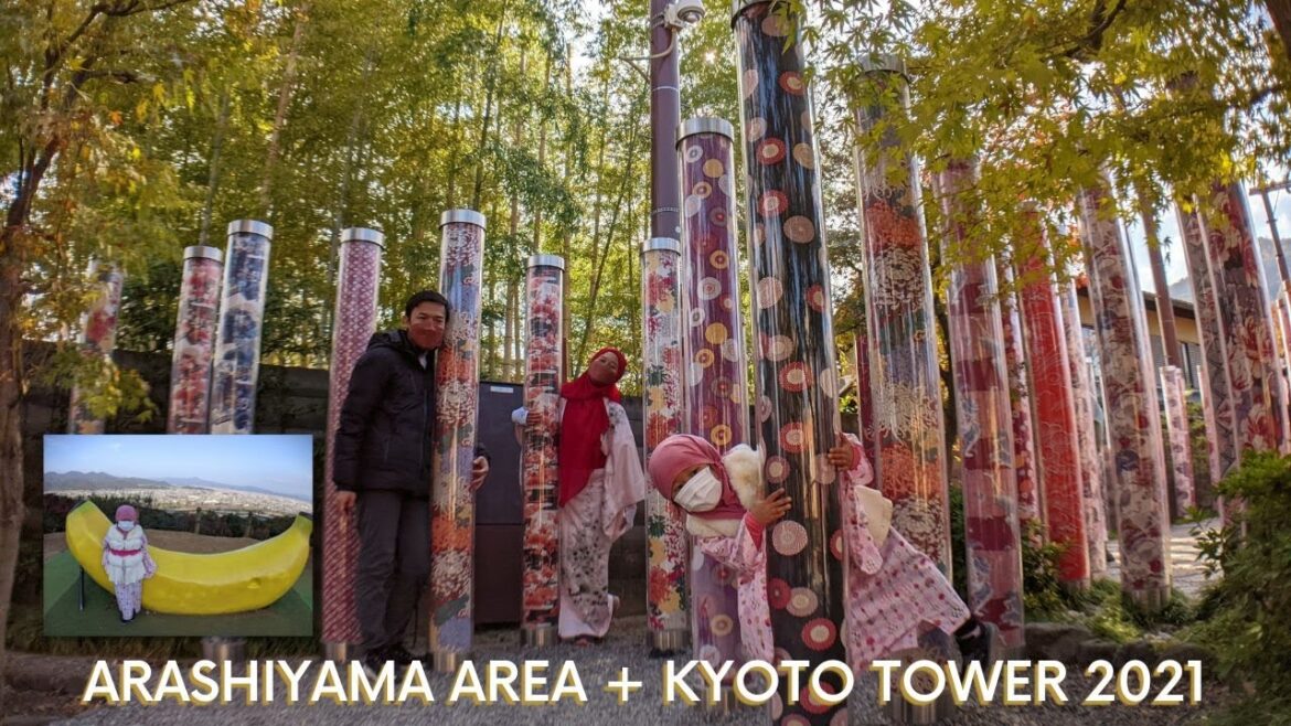 Kyoto Trip (Arashiyama Bamboo Forest, Arashiyama Kimono Forest, Arashiyama Monkey Park, Kyoto Tower)