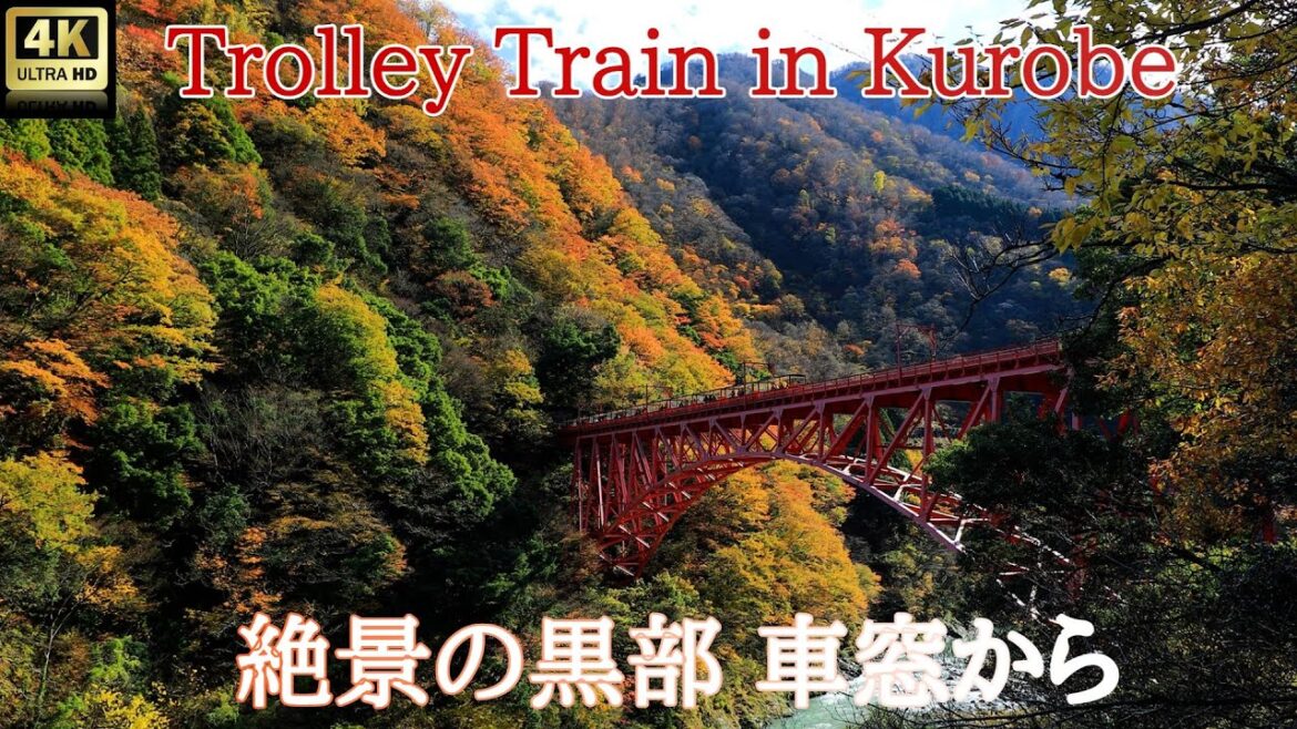 Spectacular Trolley Train Japan's Kurobe! Too beautiful scenery from the train window [4K]