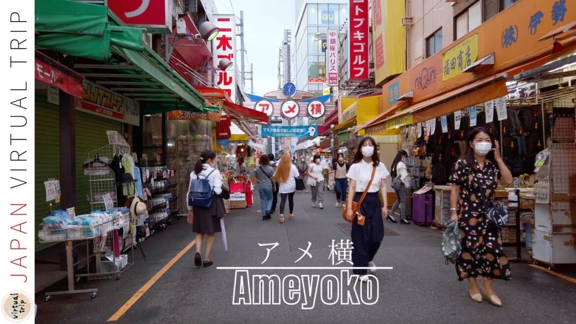 4K Japan walking tour - Ueno, Ameyoko in Tokyo | 上野, アメ横