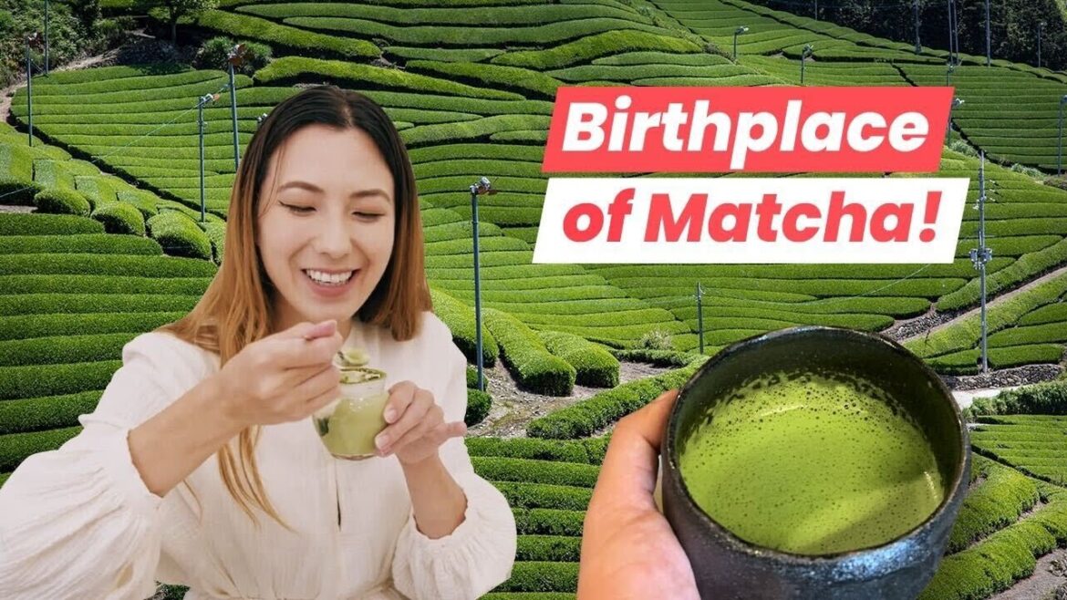 The Oldest Tea House in the World! Exploring Uji Kyoto The Oldest Tea House in the World! Exploring Uji Kyoto