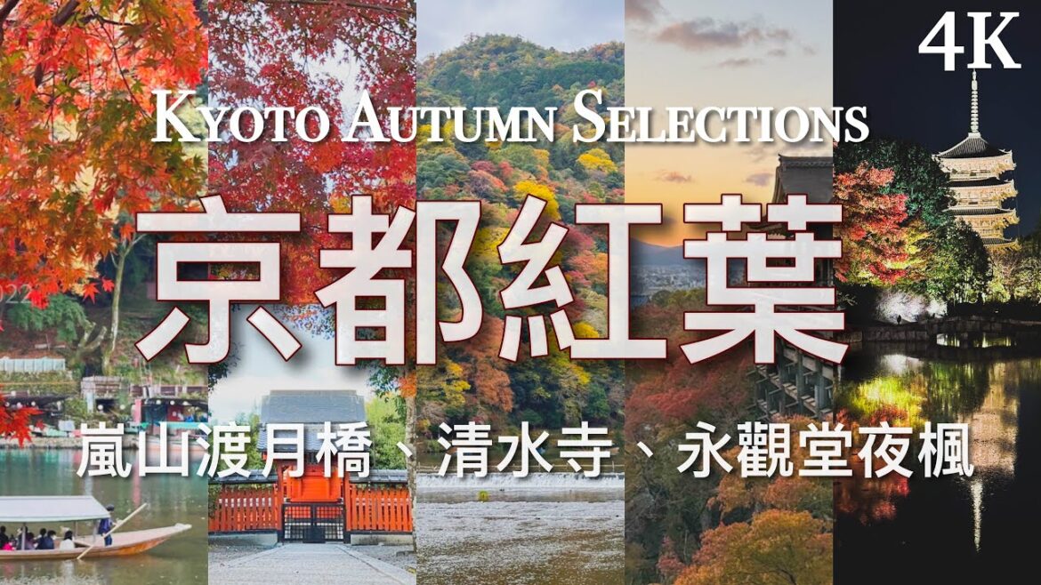 【京都旅遊】2022 京都紅葉見頃!嵐山渡月橋、竹林小徑|清水寺、永觀堂、東寺夜楓|2泊3日京都小旅行 // Kyoto Autumn Selections 2022 【京都旅遊】2022 京都紅葉見頃!嵐山渡月橋、竹林小徑|清水寺、永觀堂、東寺夜楓|2泊3日京都小旅行 // Kyoto Autumn Selections 2022