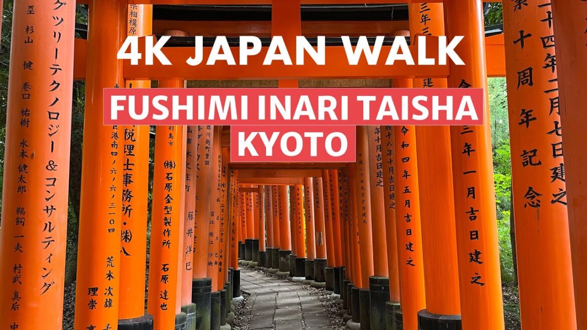 4K Japan Walk: Fushimi Inari Taisha in Kyoto, Japan