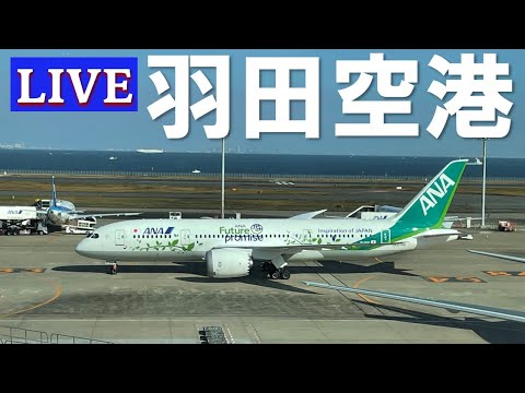 羽田空港JAL、ANAライブ グリーンジェット Tokyo International Airport(2022/11/19) 羽田空港JAL、ANAライブ グリーンジェット Tokyo International Airport(2022/11/19)