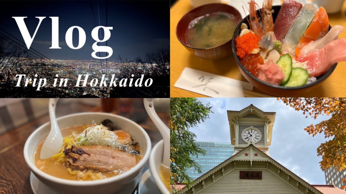 【Trip Vlog】2泊3日の秋の北海道旅行🍂家族6人ドライブ 旅🚘｜観光グルメを満喫🍣｜札幌｜小樽｜美瑛｜富良野｜AIRDO🛩 ｜ Hokkaido trip✨