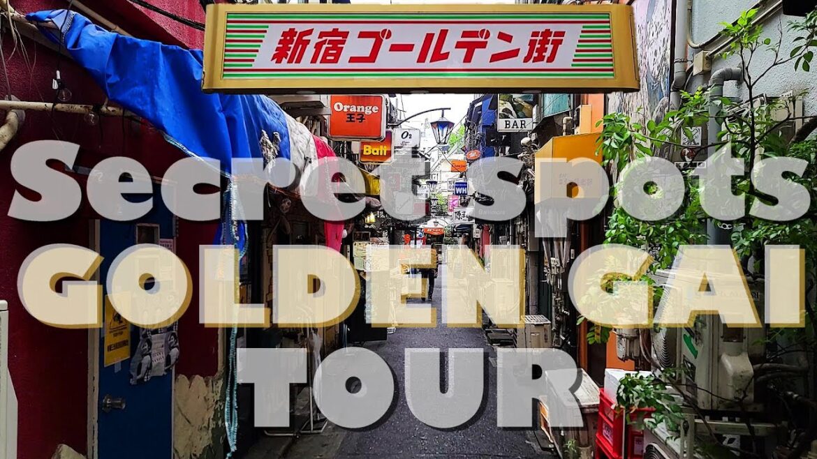 GOLDEN GAI Tour 新宿黄金街