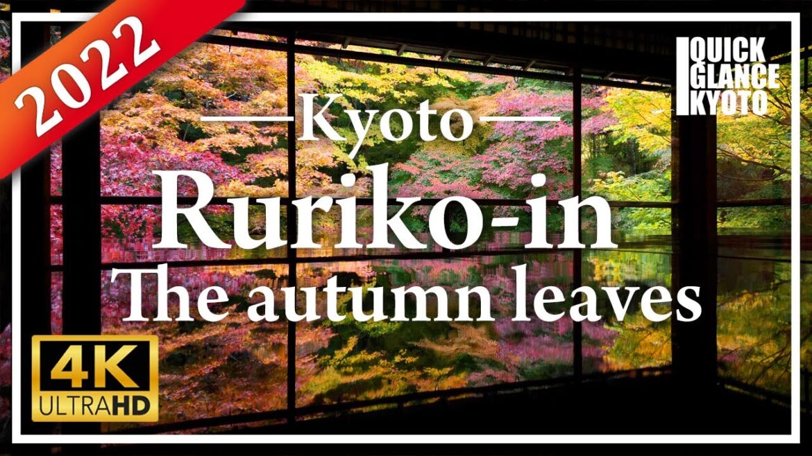 The shining red, yellow and green leaves are reflected on the surface of Black Table in Shoin room. The shining red, yellow and green leaves are reflected on the surface of Black Table in Shoin room.