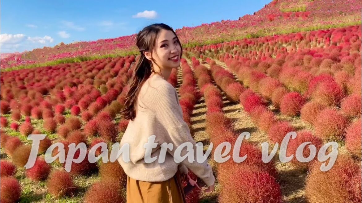 【MV風】見たことのない絶景がいっぱいで最高な秋旅でした！ Autumn in Hitachi Seaside Park