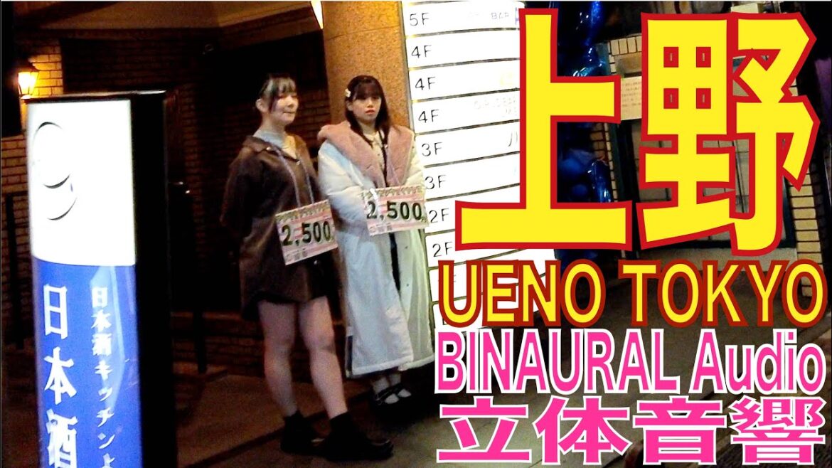 【4K/立体音響】上野 20221115 ueno night walk