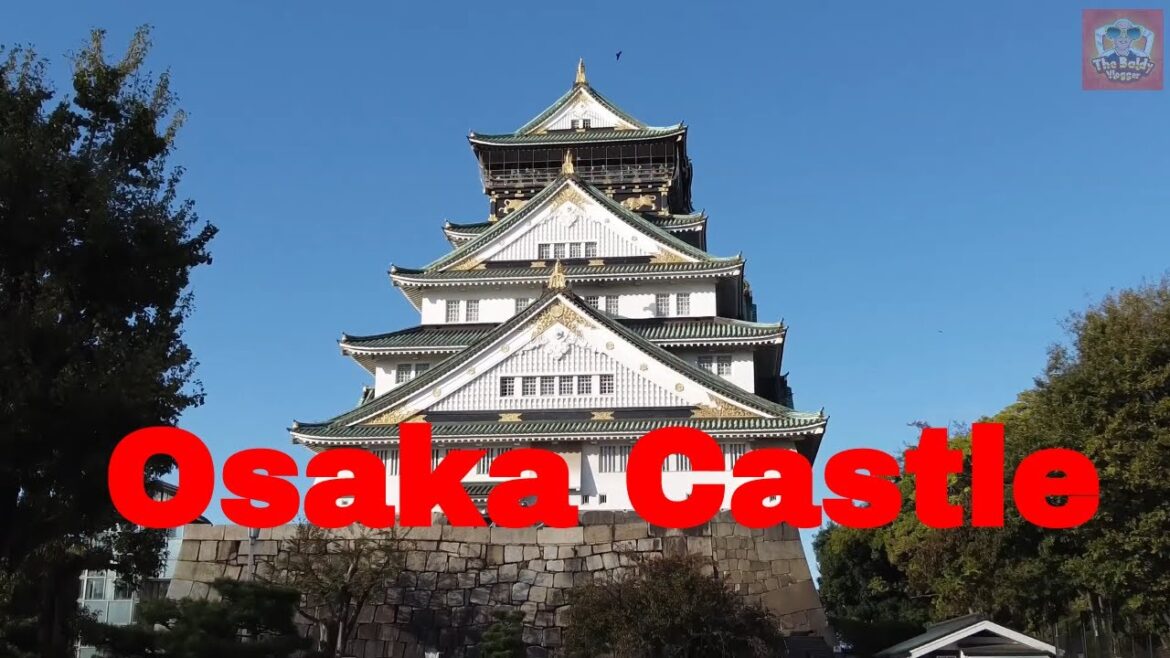 Osaka Castle & Boat Trip
