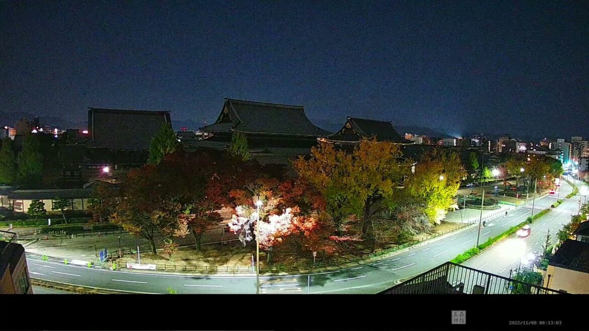 【ARCHIVE】京都ライブカメラ 紅葉ライブカメラ 東本願寺 (KYOTO JAPAN LIVE CAMERA) 森信三郎商舗から生中継 即時影像 銀杏 2022/11/08 00:00～