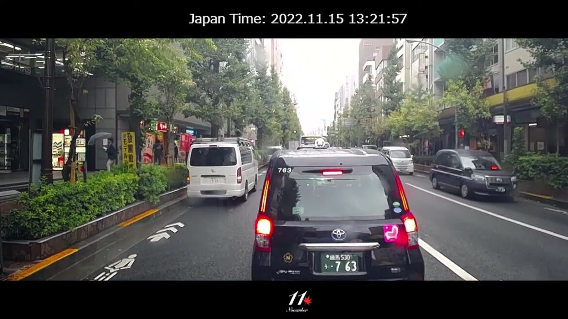 東京都内移動ライブカメラ【FSX公式】 Tokyo City Live Camera11/15撮影2 東京都内移動ライブカメラ【FSX公式】 Tokyo City Live Camera11/15撮影2