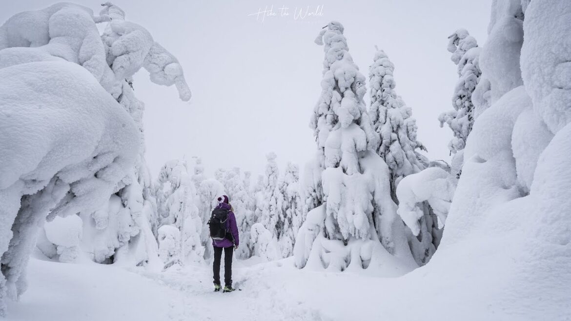 Adventure of my life | Sony A7 III cinematic Adventure of my life | Sony A7 III cinematic