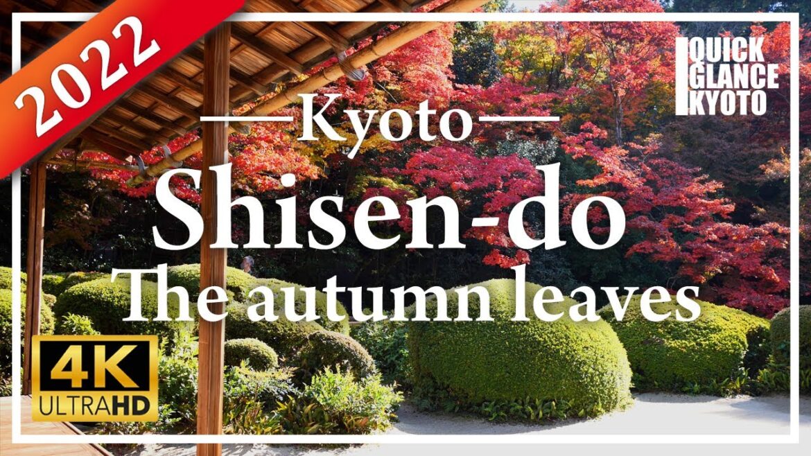 Collaboration of the colored autumn leaves and the curving, prettily trimmed azaleas was beautiful.