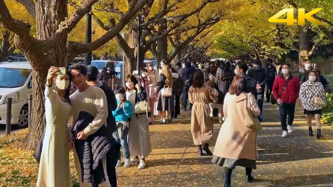 🇯🇵 Tokyo Autumn Leaves – Jingu Gaien | reupload・4K 🇯🇵 Tokyo Autumn Leaves - Jingu Gaien | reupload・4K