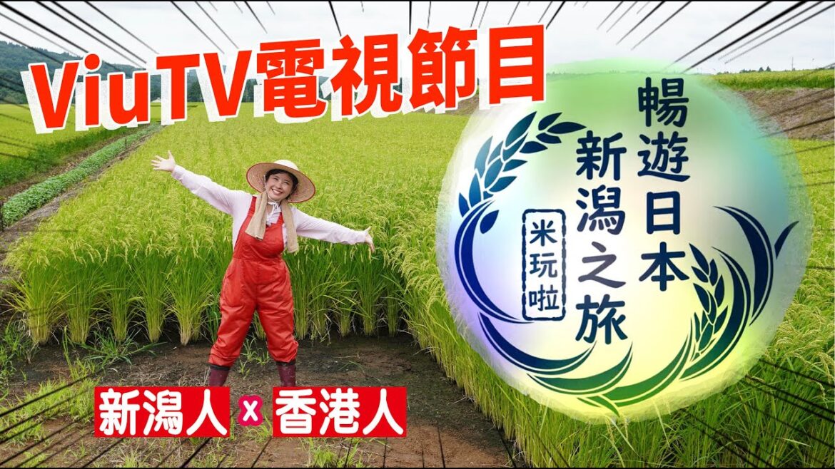 香港人x新潟人【暢遊日本新潟之旅~米玩啦~】on ViuTV ep2: 香港也吃到的新潟米就在這裏!! 必吃的有名壽司店~人氣米手信開箱試!(日文原聲+中文字幕) 香港人x新潟人【暢遊日本新潟之旅~米玩啦~】on ViuTV ep2: 香港也吃到的新潟米就在這裏!! 必吃的有名壽司店~人氣米手信開箱試!(日文原聲+中文字幕)