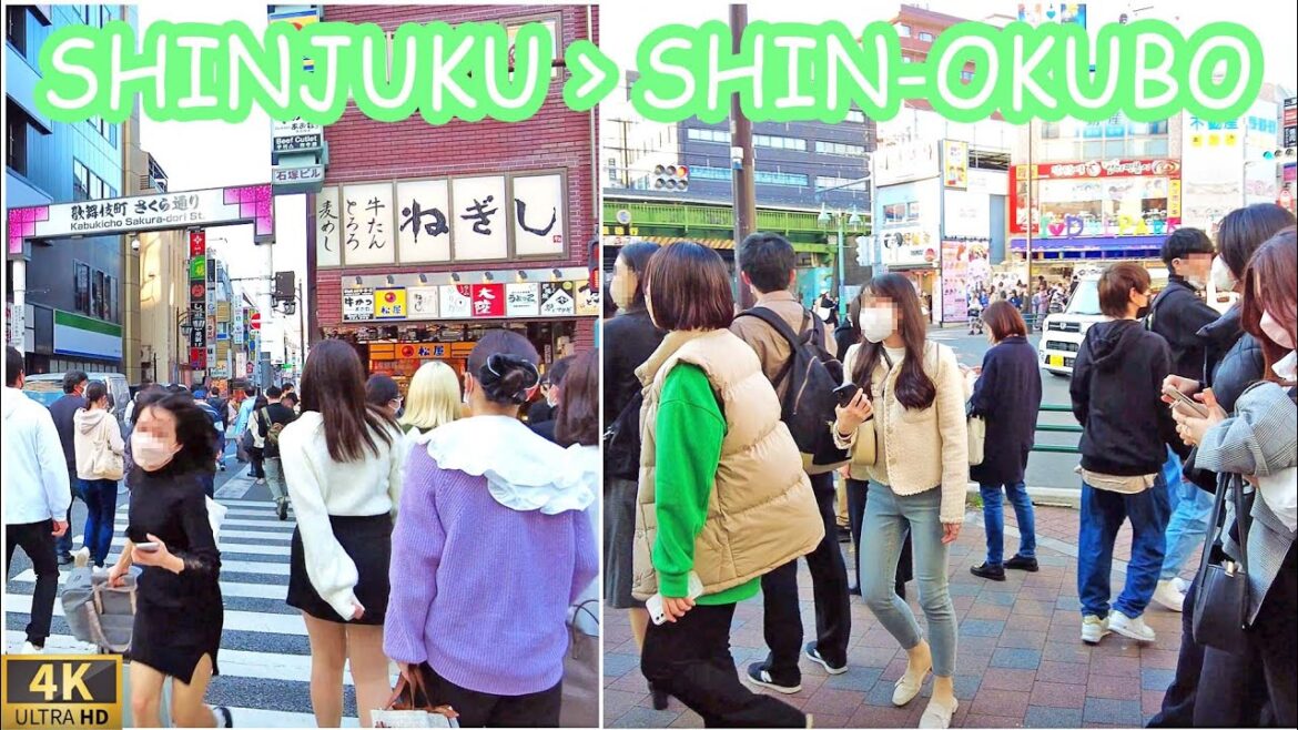 walk around shin-okubo from shinjuku 4K