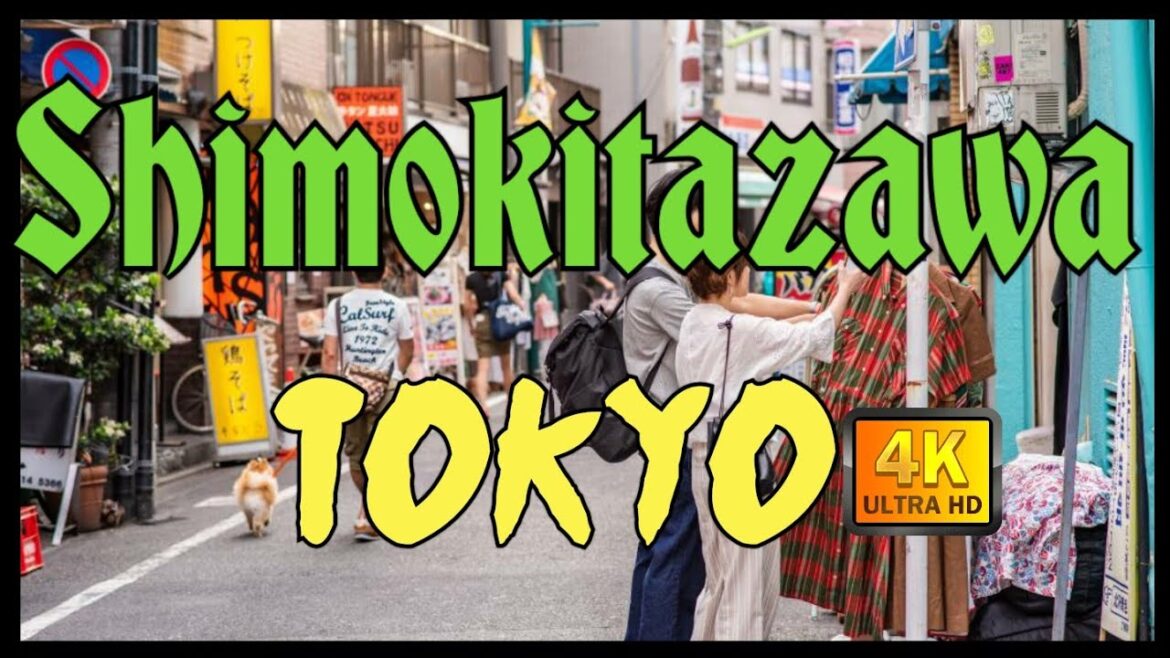 【4K】Japan Walk – Tokyo ,Shimokitazawa (下北沢), January 2021,#Japan #Tokyo #Shimokitazawa#下北沢 【4K】Japan Walk - Tokyo ,Shimokitazawa (下北沢), January 2021,#Japan #Tokyo #Shimokitazawa#下北沢