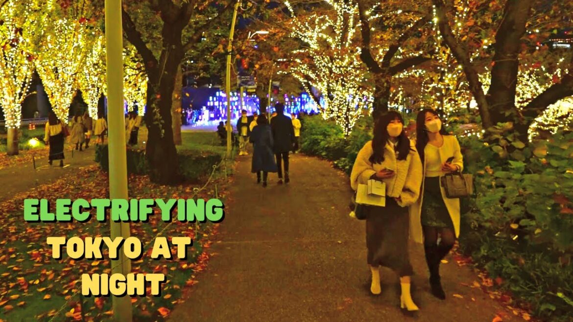 Tokyo Is Super Electrifying as Gets Ready For Christmas