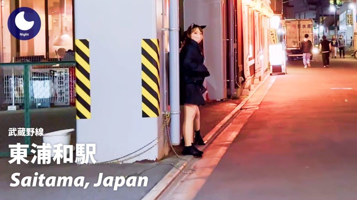 ⁴ᴷ Saitama: Minami Urawa Station (南浦和駅) / Keihin Tohoku Line : Japan Walking Tour 2022 ⁴ᴷ Saitama: Minami Urawa Station (南浦和駅) / Keihin Tohoku Line : Japan Walking Tour 2022