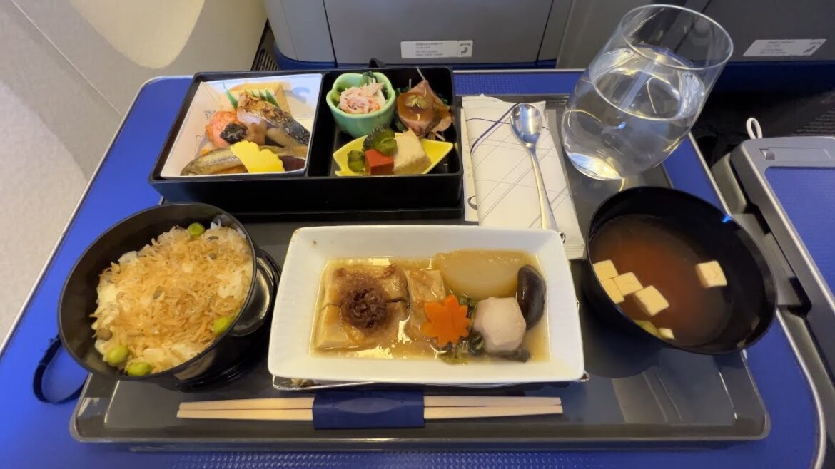 Japan Domestic Premium Class Flight on ANA Japan Domestic Premium Class Flight on ANA