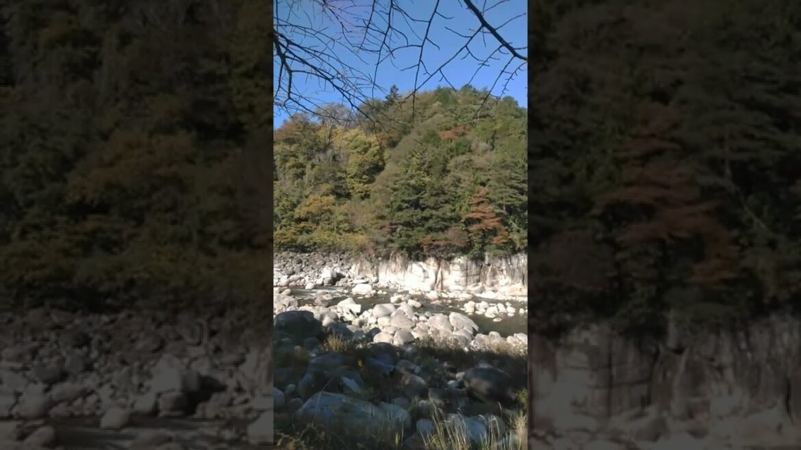 Kiso River Nagano #japan #shorts #ytshort