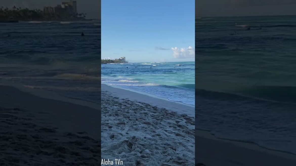 Beautiful Morning On Waikiki Beach (Hawaii) #beach #satisfying #asmr #amazing