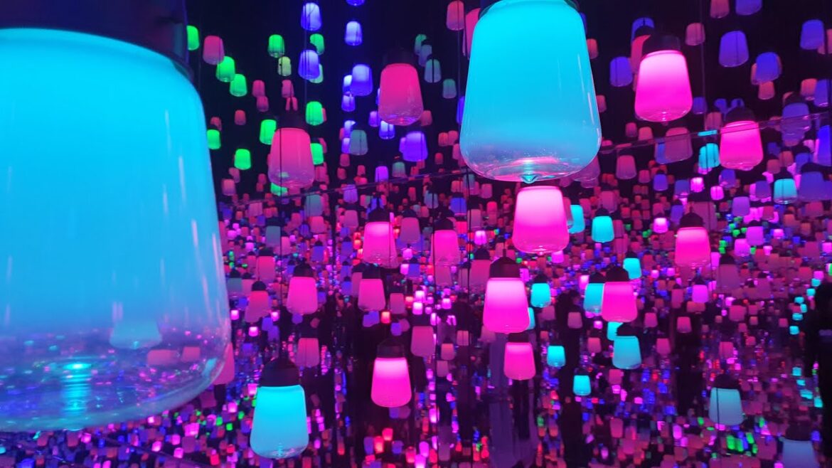 Tokyo 3/4: Tuna Auction Market,  TeamLab Borderless,  Odaiba | Japan 3/45 |