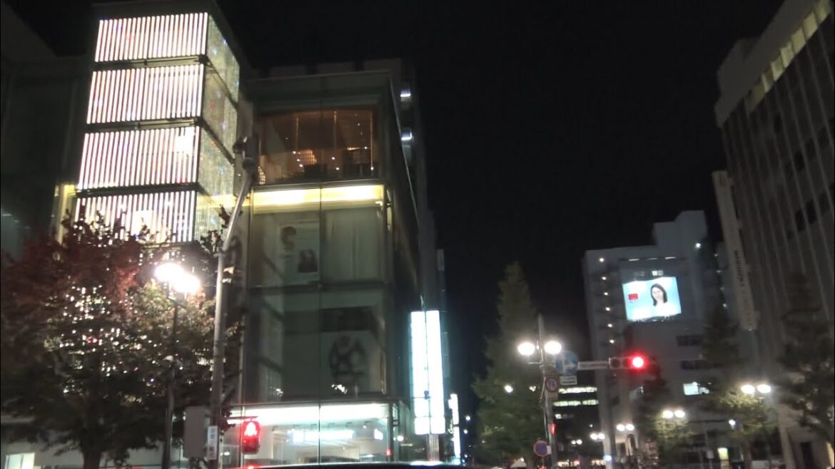 大型商業施設が並ぶ夜の札幌市街（南1条通り/西2丁目通り）