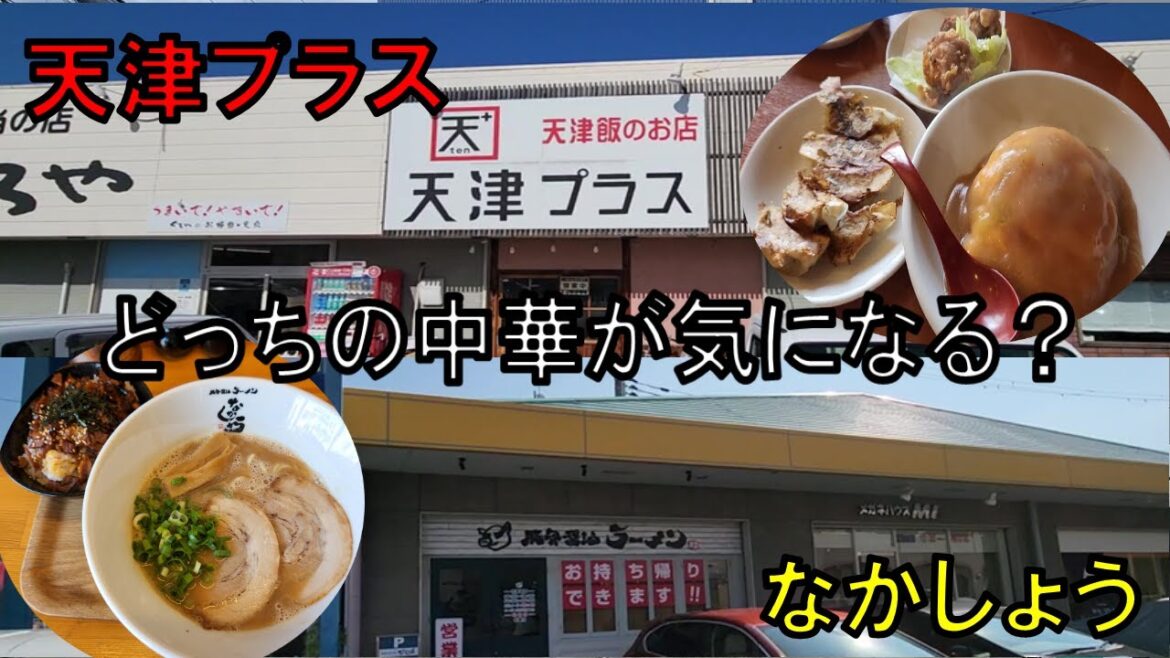 現場仕事の合間に出会った美味しいお店2店舗【VLOG】【和歌山グルメ】