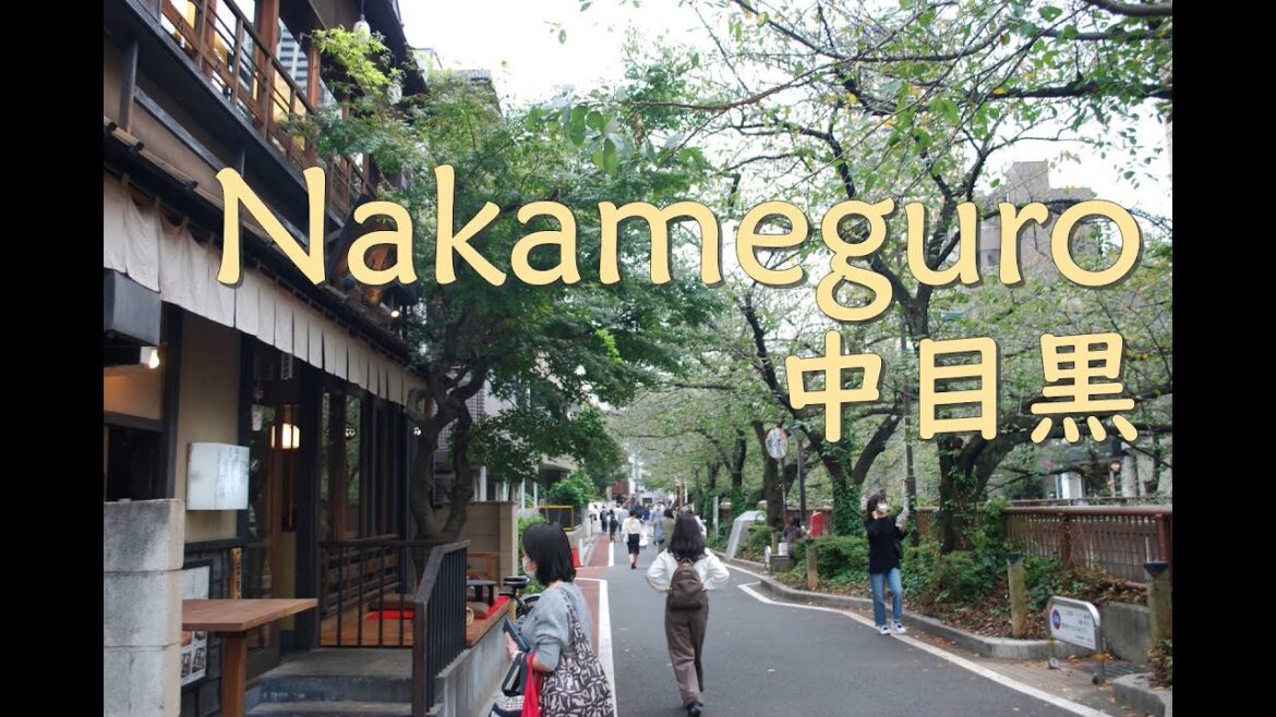 【4K】Walk around Nakameguro | 中目黒 | 目黒川沿い散策 | Megro River