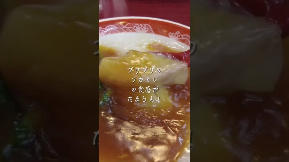 【横浜中華街】本当は教えたくない!身体と心に沁みる絶品フカヒレ中華粥で素敵な朝食 at 馬さんのお店 #横浜中華街 #shorts 【横浜中華街】本当は教えたくない!身体と心に沁みる絶品フカヒレ中華粥で素敵な朝食 at 馬さんのお店 #横浜中華街 #shorts