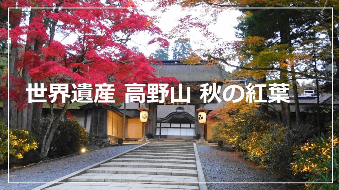 【和歌山】高野山 秋の紅葉 Koyasan Japan  Autumn2022