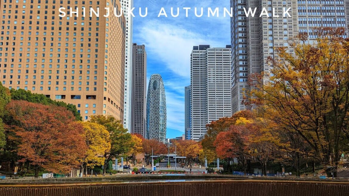 Live Tokyo - Shinjuku Lunchtime Walk