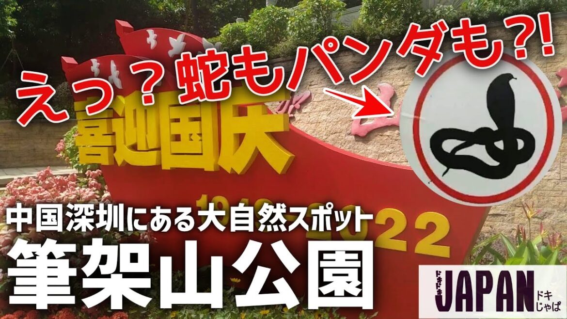 【笔架山公园#1】足を踏み入れても大丈夫？ 「蛇に注意」の看板がある公園【中国-深圳】