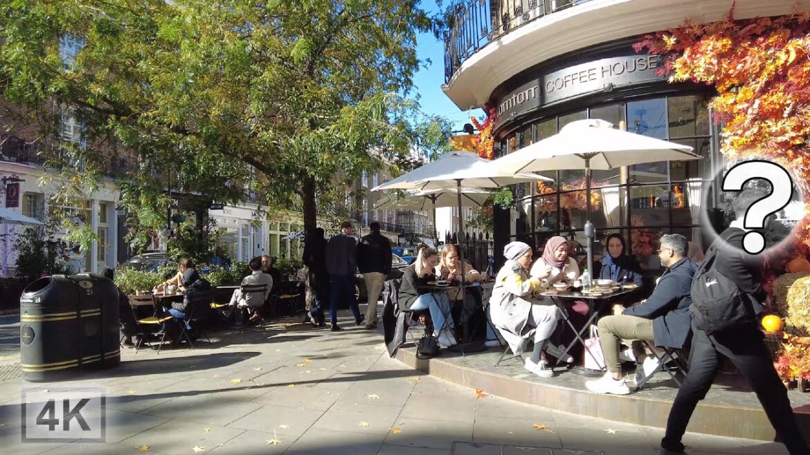 MATT HANCOCK appears in Autumn London Walk in Belgravia & Victoria Train Station [4K]