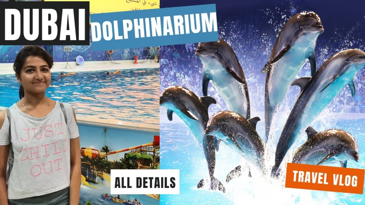 Dubai Dolphinarium | Dolphinarium Dubai | Dolphin show in Dubai | Dubai Kids attraction | Bird show