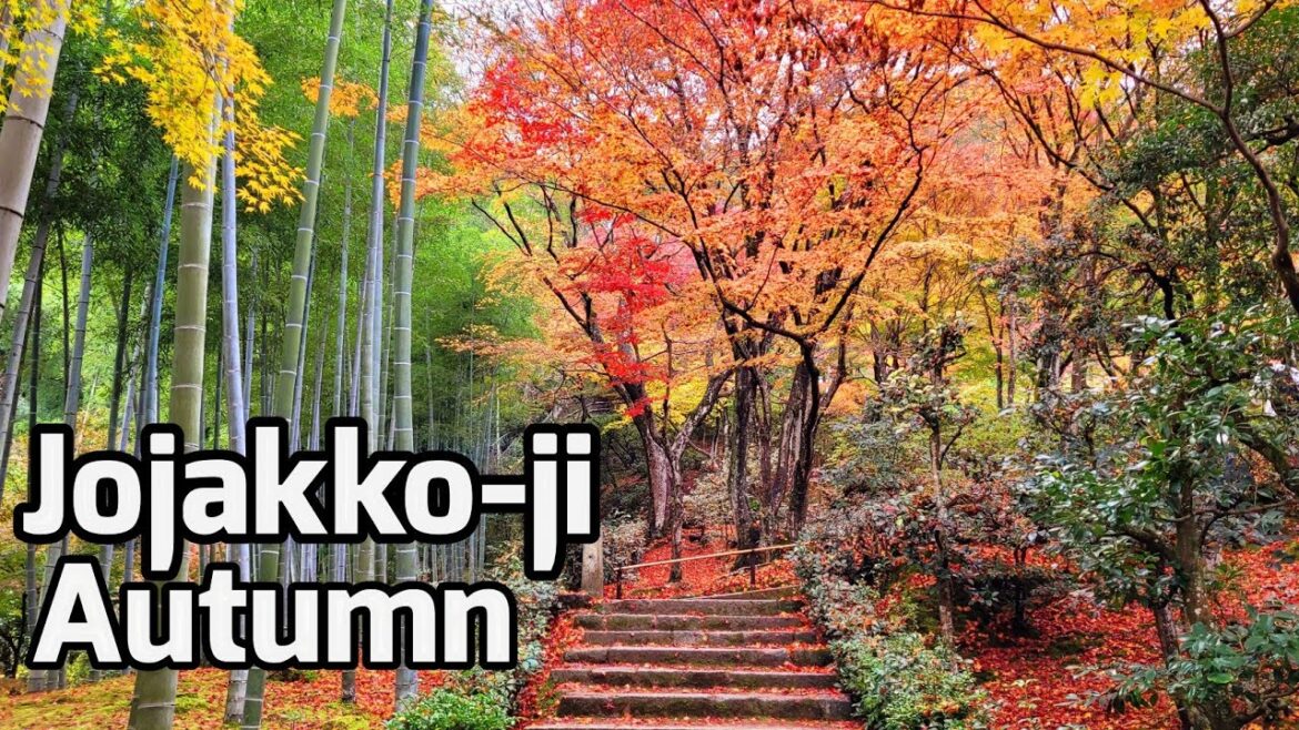 Spectacular Autumn in Jojakko-ji Temple – Kyoto, Japan 紅葉の常寂光寺 Spectacular Autumn in Jojakko-ji Temple - Kyoto, Japan 紅葉の常寂光寺