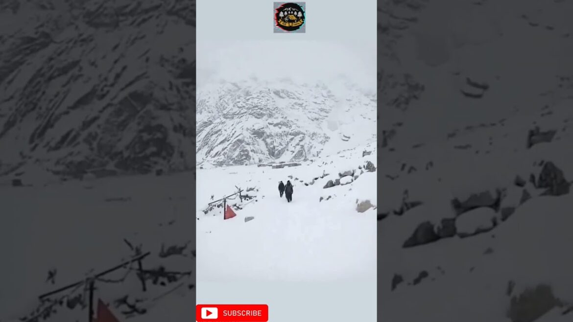 Therapy – Walking On Ice Relieve All Your Pain #shorts #icecamping Therapy - Walking On Ice Relieve All Your Pain #shorts #icecamping