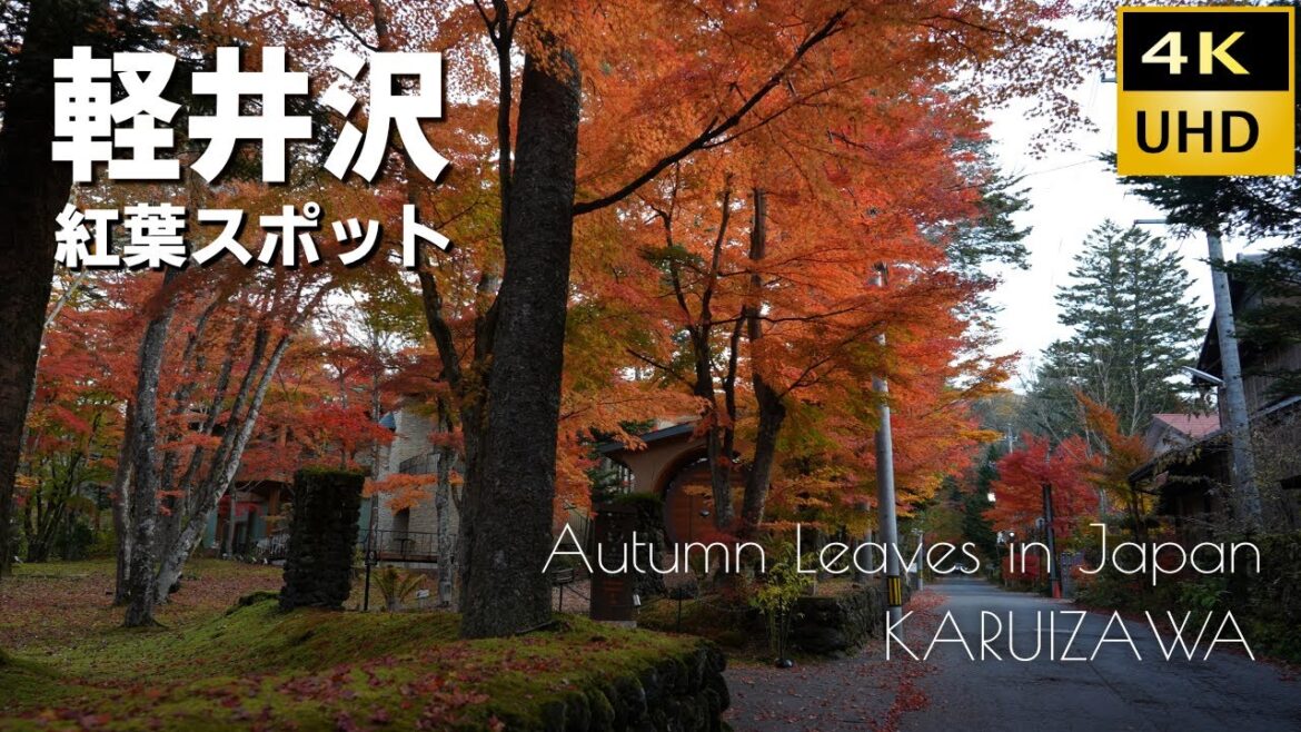 軽井沢 紅葉!紅葉!紅葉!紅葉だらけ! 2022 軽井沢 紅葉!紅葉!紅葉!紅葉だらけ! 2022