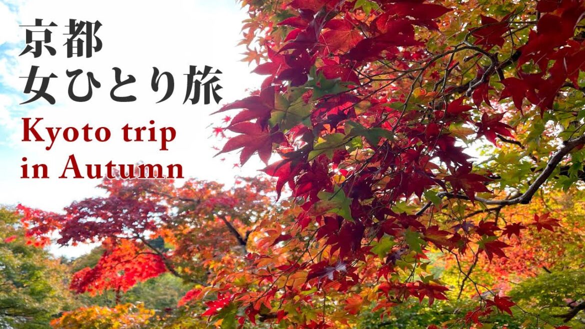SUB【京都🍁女ひとり旅】秋の嵐山で紅葉スポットを訪れ漬け物パンで心身を癒す旅vlog【Kyoto trip in Autumn】