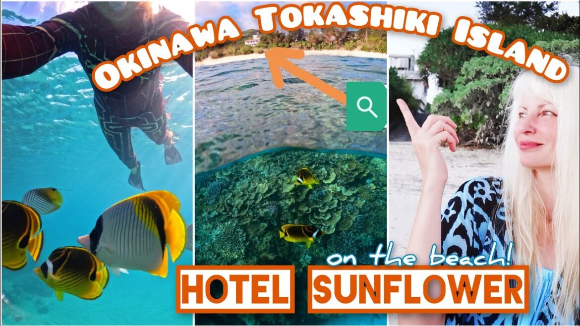 Best OCEAN VIEW KERAMA TOKASHIKI Island ποΈ HOTEL SUNFLOWER Okinawa Turtle snorkeling by ADEYTO 2022 Best OCEAN VIEW KERAMA TOKASHIKI Island ποΈ HOTEL SUNFLOWER Okinawa Turtle snorkeling by ADEYTO 2022