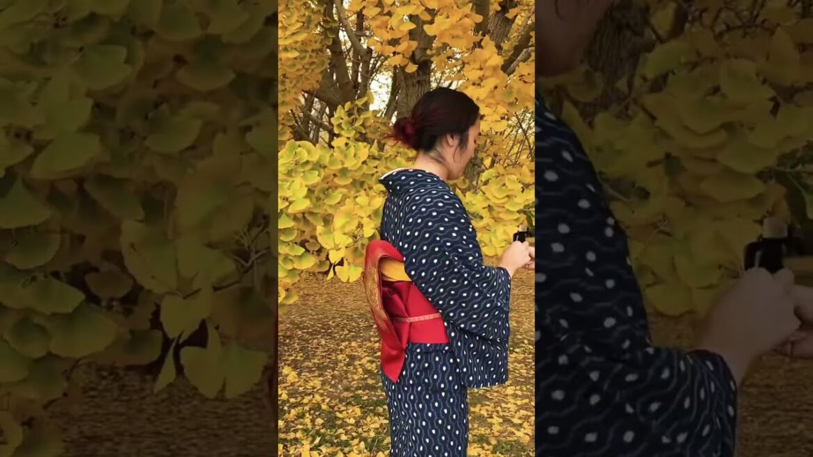 Fall in Japan – Walking along the Gingko Trees in a Handwoven Kimono Fall in Japan - Walking along the Gingko Trees in a Handwoven Kimono