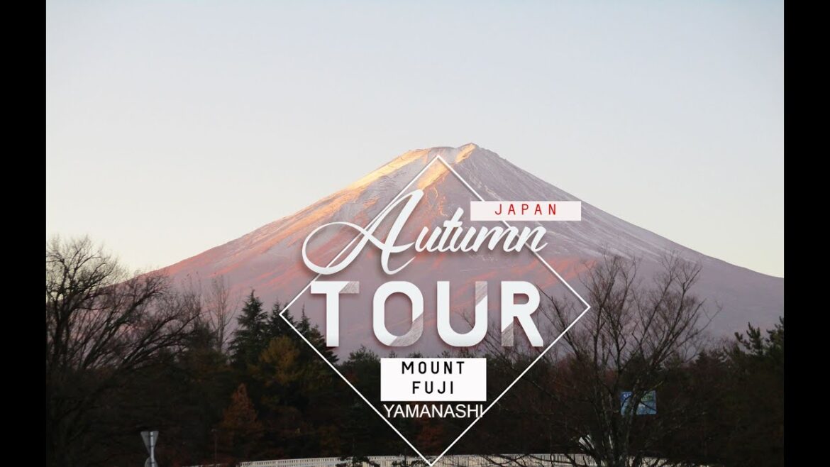 Best Autumn Tour- Mount Fuji
