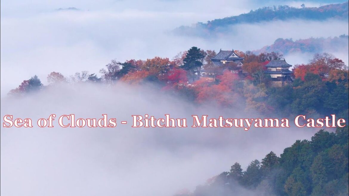 Castle in the Sky- Bitchu Matsuyama Castle | #天空の山城  | #雲海 Castle in the Sky- Bitchu Matsuyama Castle | #天空の山城  | #雲海