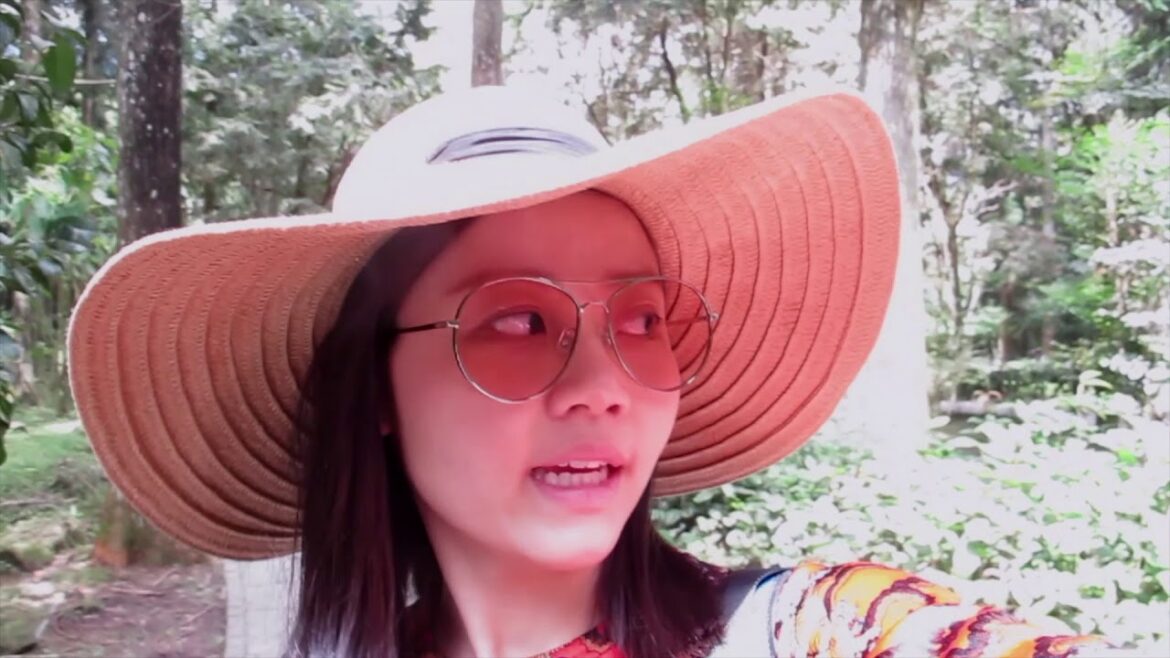 Travel Vlog 2 - Taiwan To Go (ENG SUB)